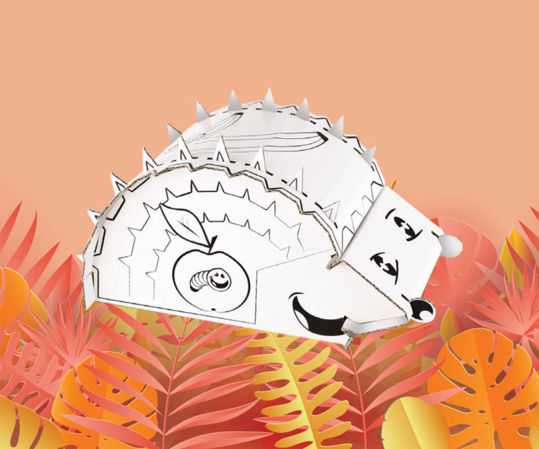 Jeżyk – Kolorowanka 3D