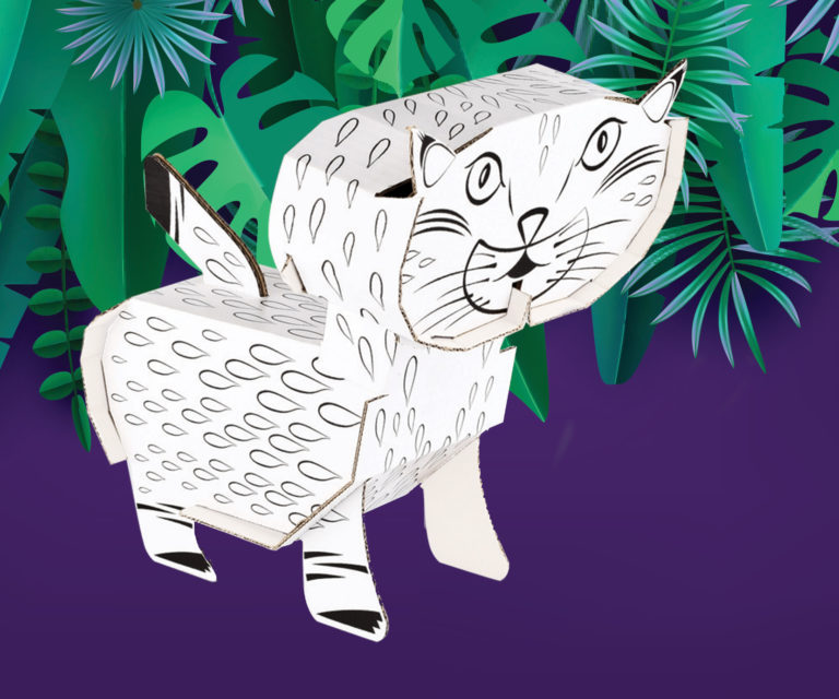 Ryś – Kolorowanka 3D